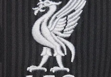 Liverpool Training Shirt 2024