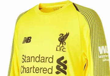 Liverpool-keeper-shirt-2018-2019-b.jpg