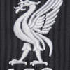 Liverpool Training Shirt 2024