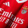 Benfica Thuisshirt 2024 2025
