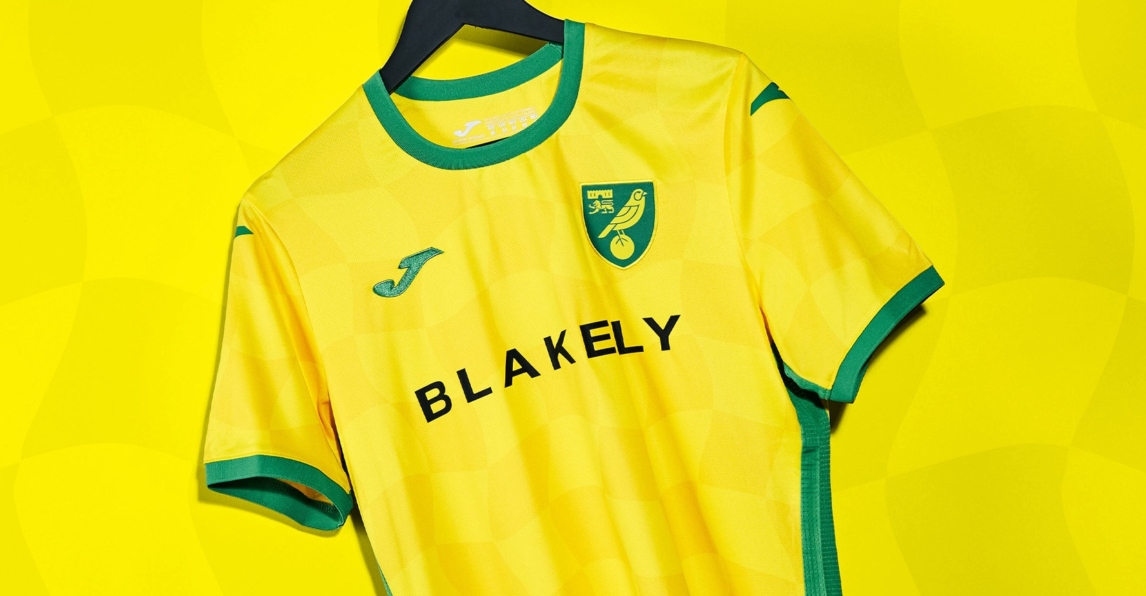 Norwich City Voetbalshirts 2024 2025