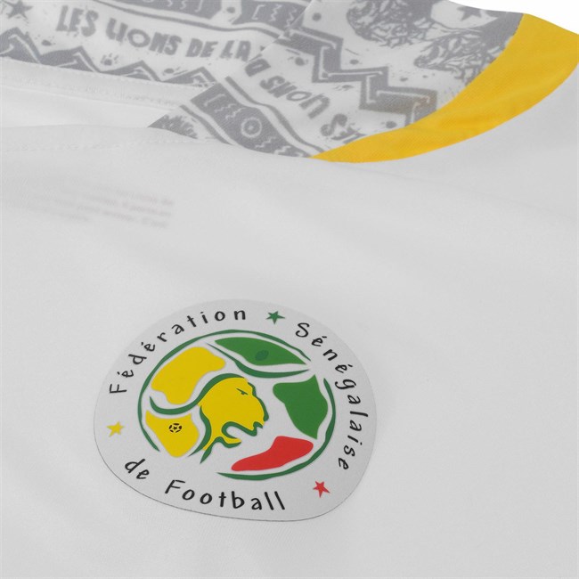 Senegal Voetbalshirt 2014