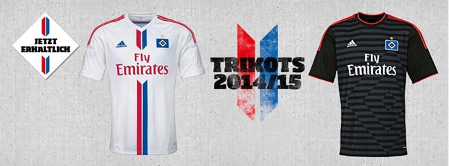 Hamburger SV Thuisshirt 2014-2015 3 (2)