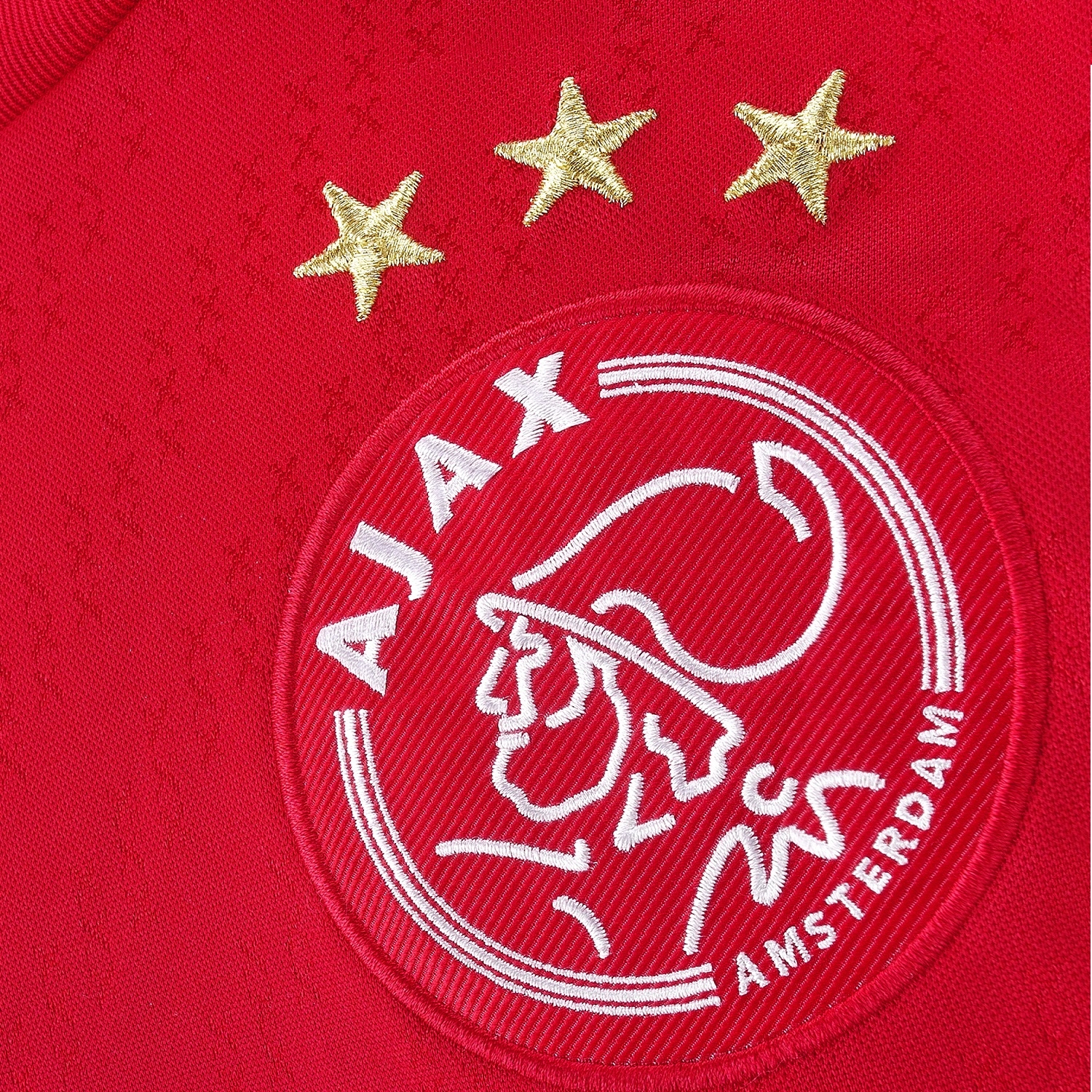 Ajax thuisshirt 2013-2014