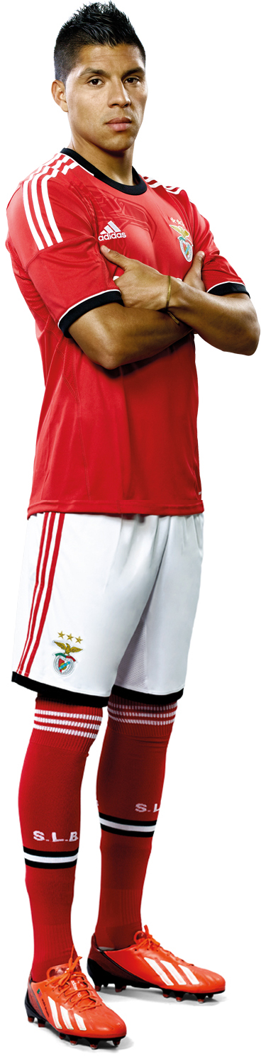 Benfica thuisshirt 2013-2014 