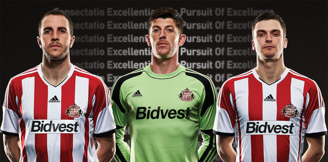 Sunderland thuisshirt 2013/2014