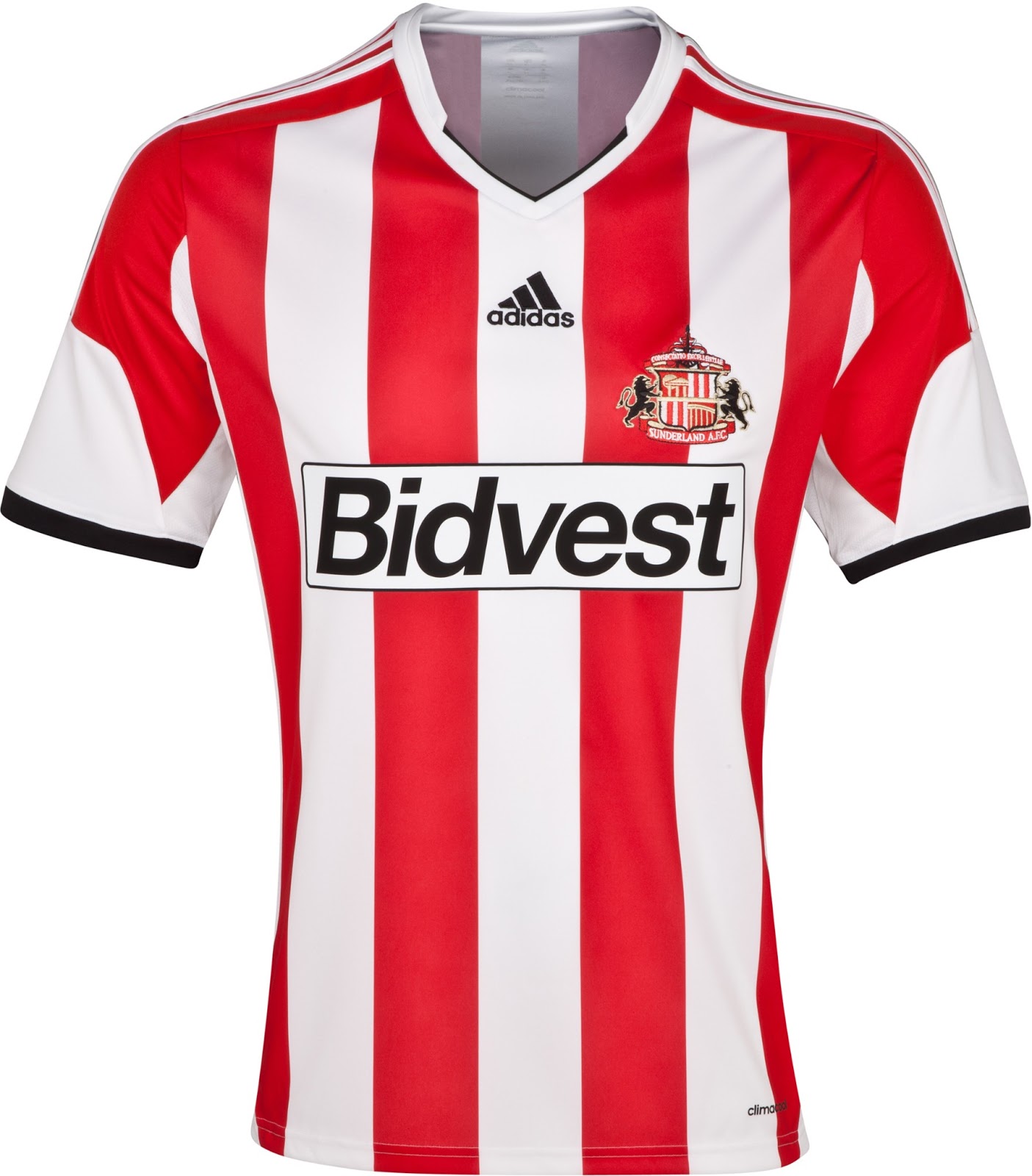 Sunderland thuisshirt 2013/2014