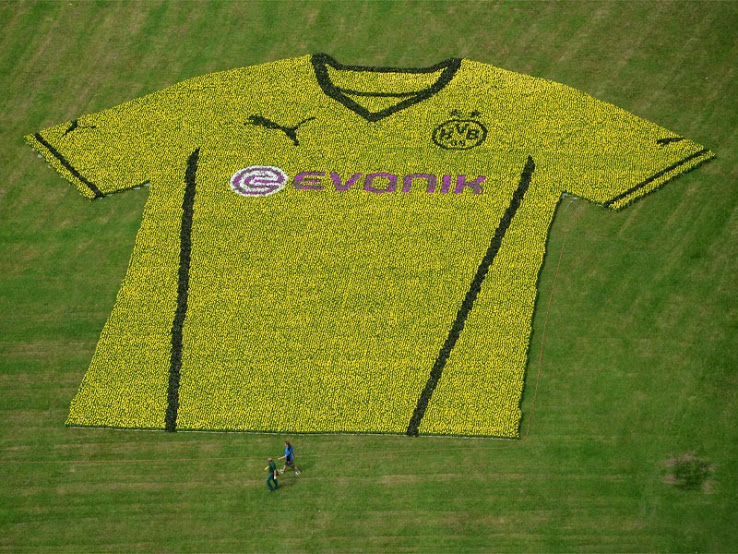 Borussia Dortmund thuisshirt 2013/2014
