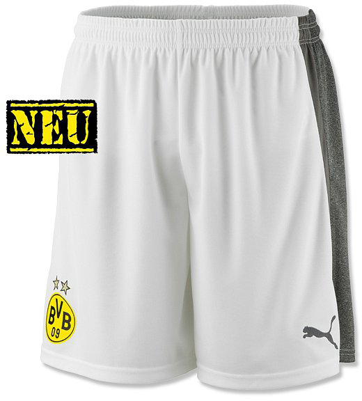 Borussia short 2013-2014