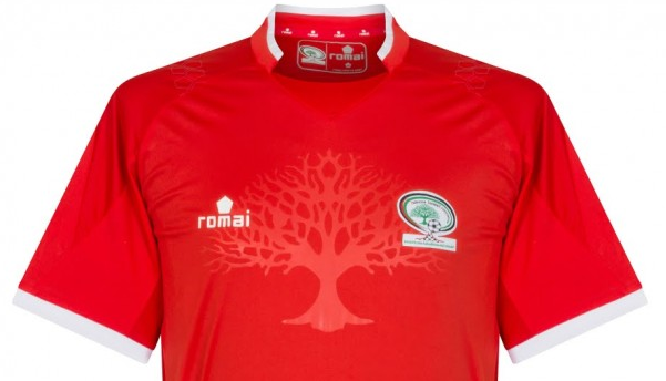 palestina-shirt-2017-2018.png