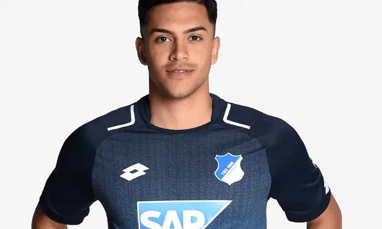 Hoffenheim thuisshirt 2017-2018