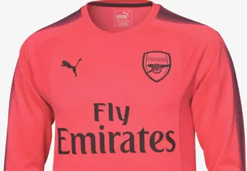 roze-arsenal-keepersshirt-2017-2018.png