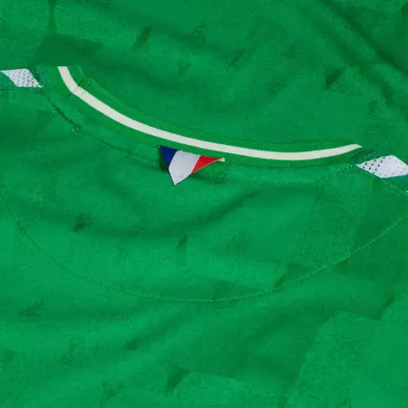 AS Saint Etienne voetbalshirts 2023-2024