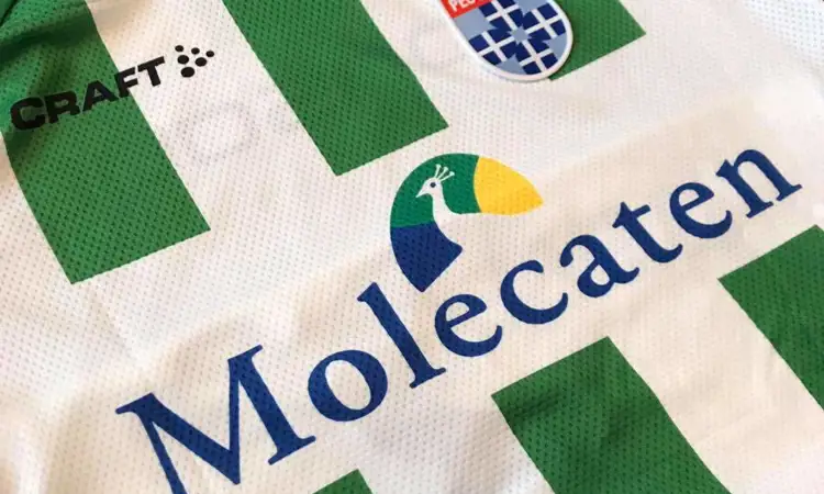 PEC Zwolle uitshirt 2017-2018