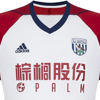 west-bromwich-albion-uitshirt-2017-2018.png