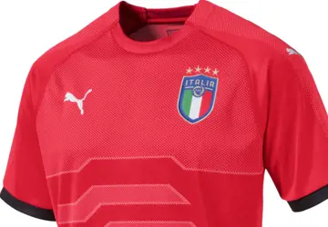 italie-keepersshirt-2018-2019-roze.png