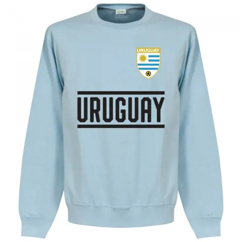 Licht blauwe Uruguay trui