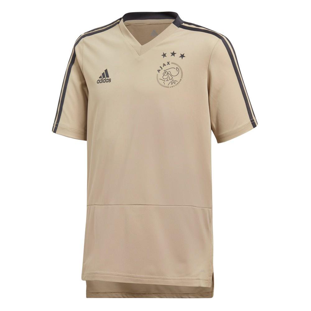 Heerlijk Diplomaat apotheker Ajax trainingsshirt 2018-2019 - Voetbalshirts.com