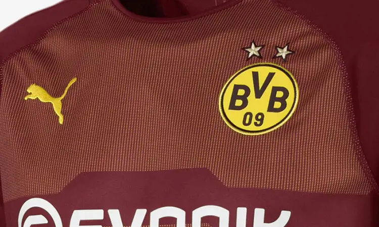 Borussia Dortmund keepersshirt 2018-2019
