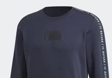 fc-bayern-munchen-sweatshirt-2019.png