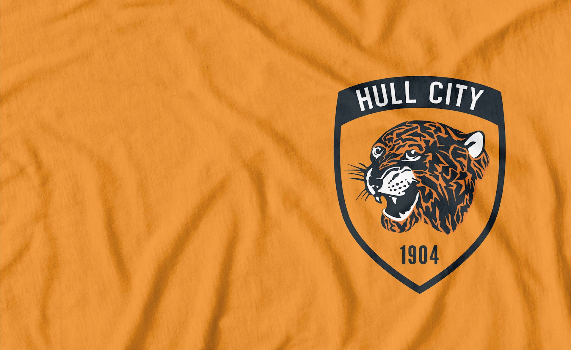 nieuwe-hull-city-logo.jpg