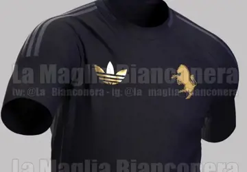 Juventus 3E Shirt 2023 2024 Gelekt B