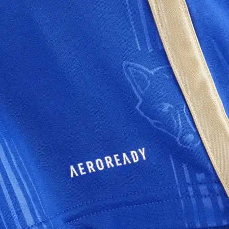 Leicester City voetbalshirts 2023-2024