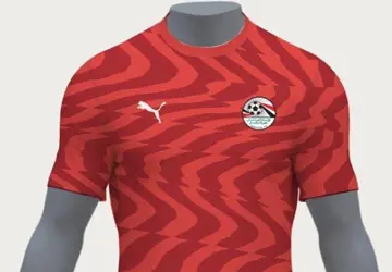 egypte-voetbalshirt-puma.jpg (1)