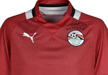 Egypte_voetbalshirt_2012_2013.jpg