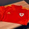 wales-voetbalshirt-2020-2021.jpg