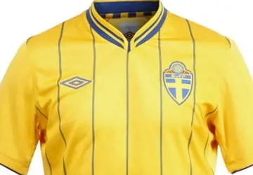 Zweden_Euro_2012_uitshirt.jpg