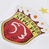 shanghai-sipg-uitshirt-2020-2021.jpg