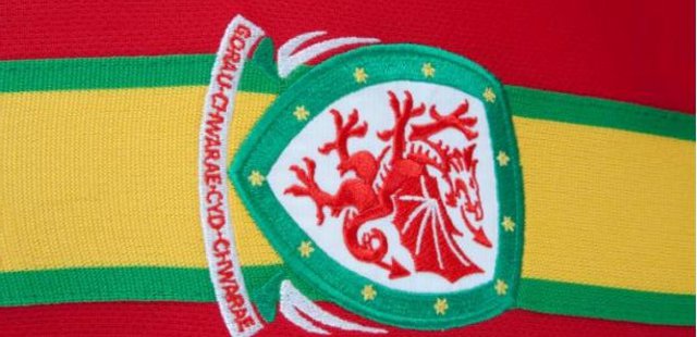 Wales_thuisshirt_2012_2013.jpg