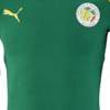 senegal_uitshirt-2014-2015.jpg