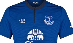 evertonthuisshirt.jpg