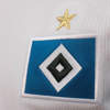 hamburger-sv-voetbalshirts-2020-21.jpg