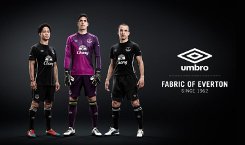 everton-uitshirt-2014-2015.jpg