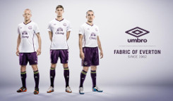 everton3eshirt20142015.jpg