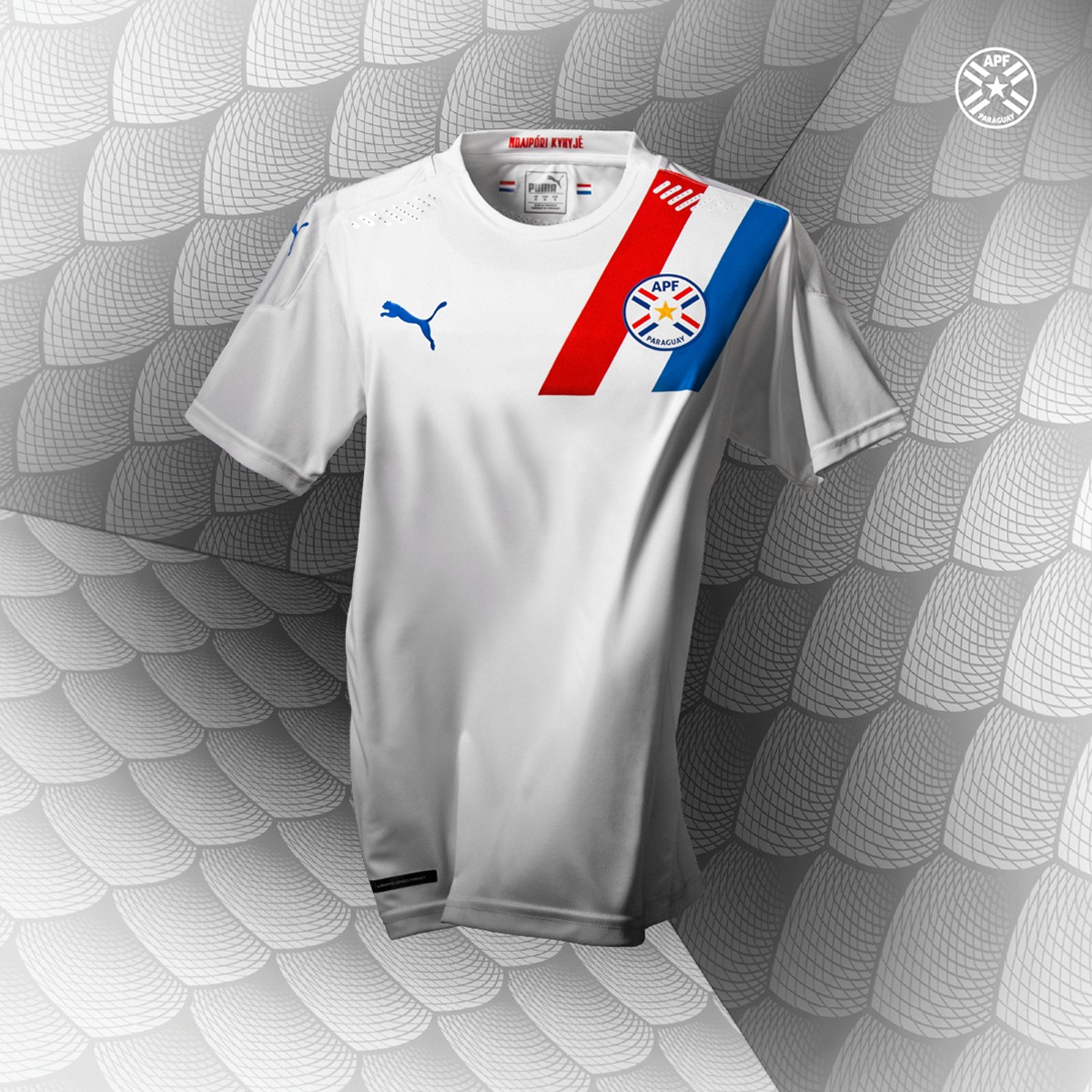 Paraguay uitshirt 2020-2021