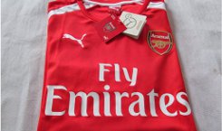 arsenal-trainingsshirt-2014-2015.jpg (2)
