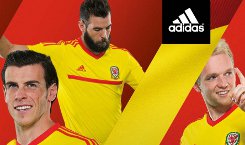 wales-uitshirt-2014-2015.jpg
