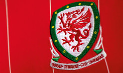 walesthuisshirt2015.jpg