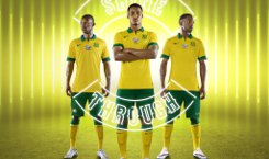 zuid-afrika-voetbalshirts-afrika-cup-2014-2015.jpg