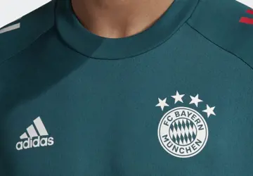 bayern-munchen-training-shirt-2021-groen.jpg