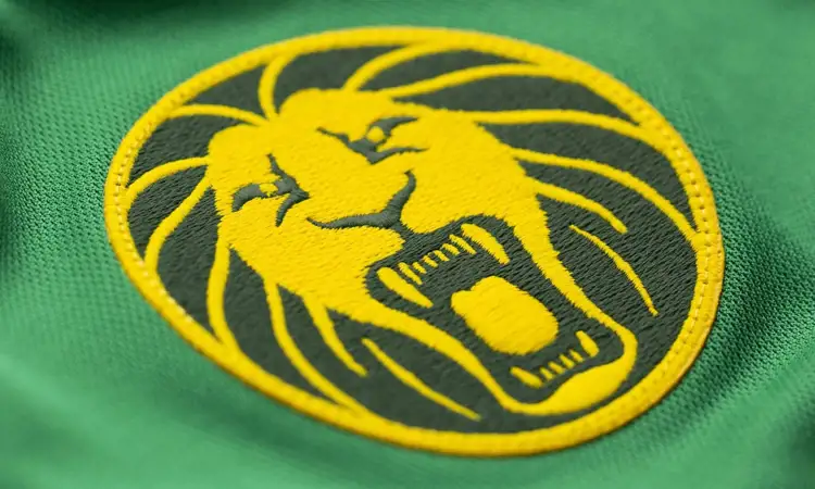 Kameroen voetbalshirts 2021-2022