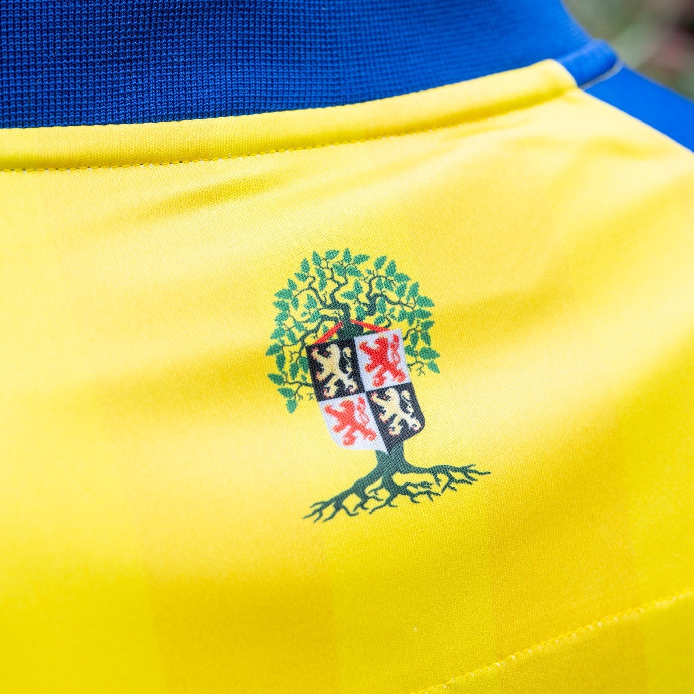 Dit zijn de RKC Waalwijk voetbalshirts 2025-2026