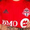 toronto-fc-thuisshirt-2015-2016b.jpg (1)