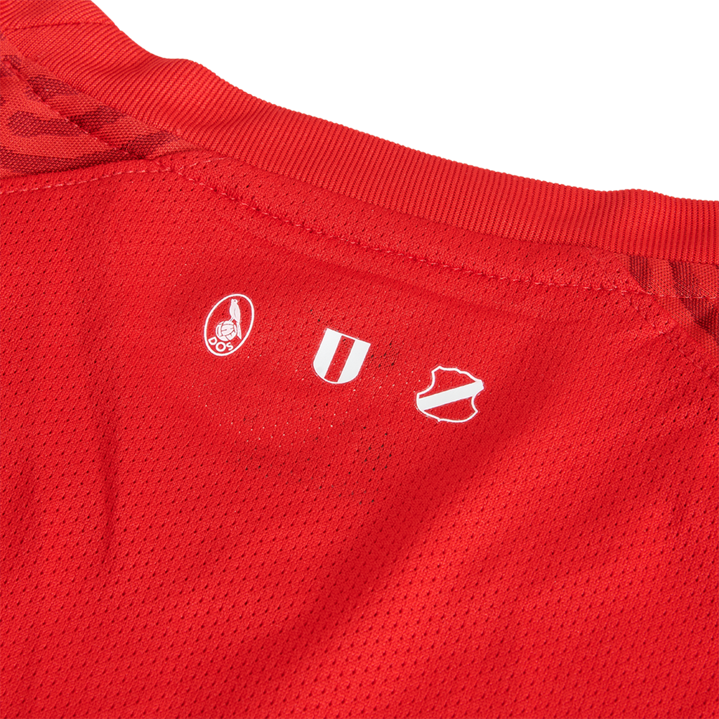 Detail FC Utrecht thuisshirt 2021-2022