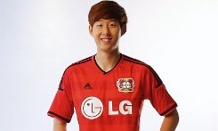 bayer-leverkusen-uitshirt-2015-2016.jpg (1)