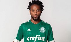 palmeiras-voetbalshirt-2015-2016.jpg (1)